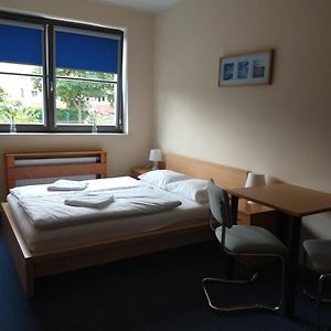 Pokój typu standard z łóżkiem king-size